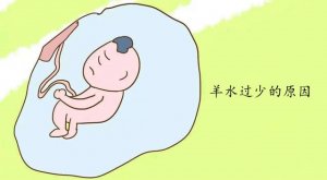 羊水過少的原因