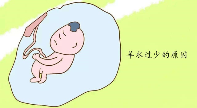 羊水過(guò)少的原因