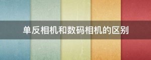 單反相機(jī)和數(shù)碼相機(jī)的區(qū)別