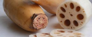 藕通過(guò)什么獲取養(yǎng)分