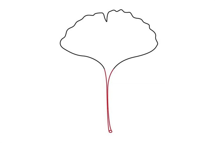 銀杏樹(shù)葉簡(jiǎn)筆畫(huà)怎么畫(huà)圖片教程