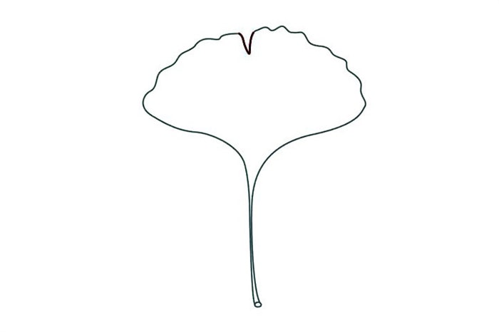 銀杏樹(shù)葉簡(jiǎn)筆畫(huà)怎么畫(huà)圖片教程