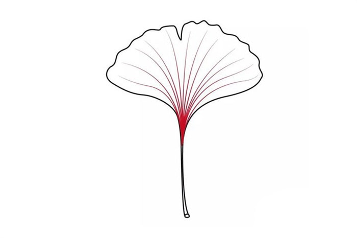 銀杏樹(shù)葉簡(jiǎn)筆畫(huà)怎么畫(huà)圖片教程