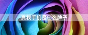 真我手機(jī)是什么牌子