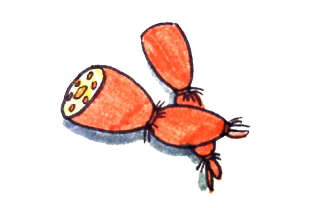 蔬菜簡(jiǎn)筆畫圖片大全