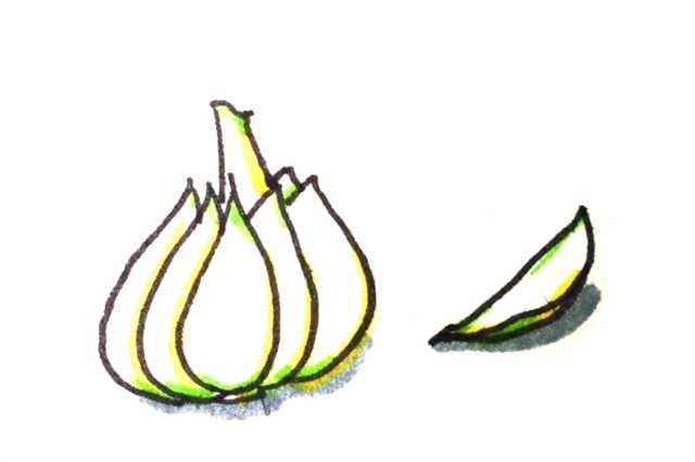 蔬菜簡(jiǎn)筆畫圖片大全