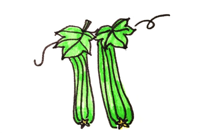 蔬菜簡(jiǎn)筆畫圖片大全