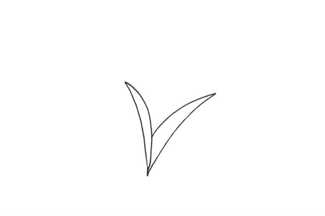 小麥簡(jiǎn)筆畫怎么畫