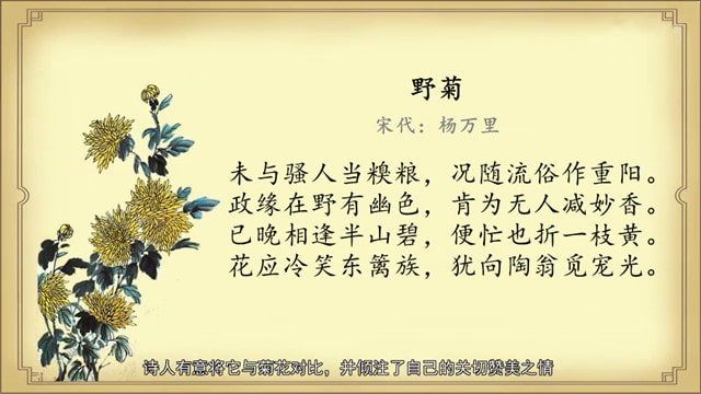 楊萬里野菊古詩帶拼音版