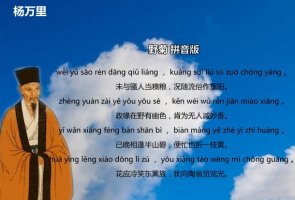 楊萬里野菊古詩帶拼音版