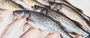 海魚比淡水魚營養(yǎng)更好嗎？