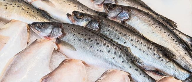 海魚比淡水魚營養(yǎng)更好嗎？