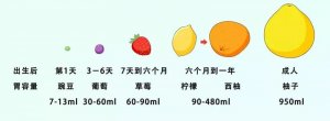 新生兒胃容量有多大