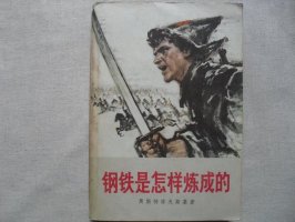 讀《鋼鐵是怎樣煉成的》有感1000字
