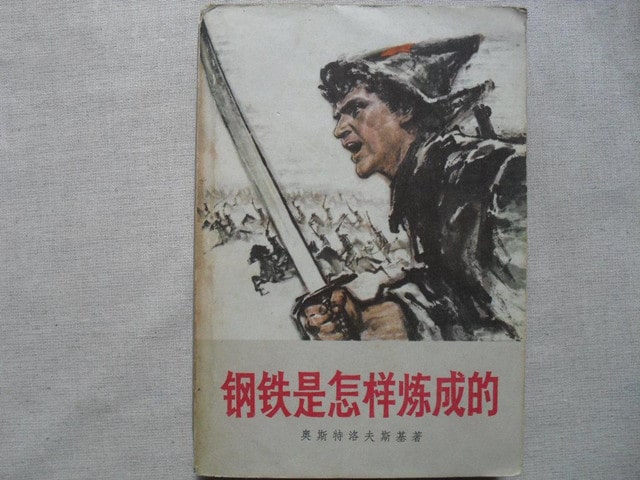 讀《鋼鐵是怎樣煉成的》有感1000字