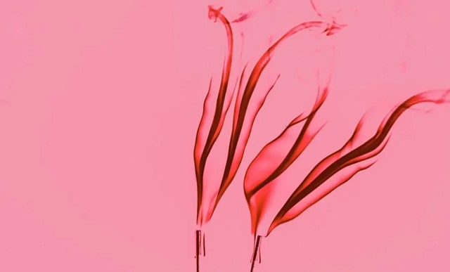 產(chǎn)后多久來例假