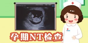 nt正常值范圍是多少mm