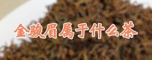 金駿眉屬于什么茶
