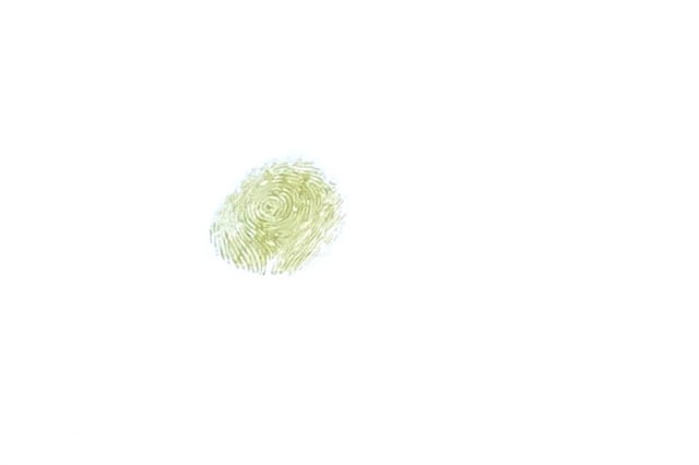 小鳥手指畫畫法 幼兒早教繪畫