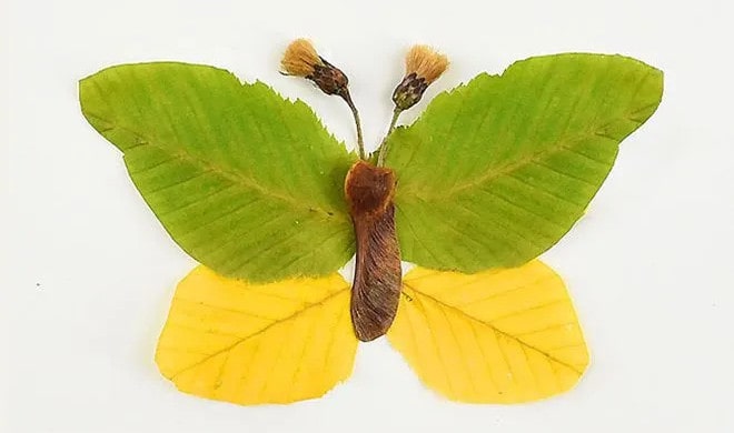 樹葉粘貼畫蝴蝶