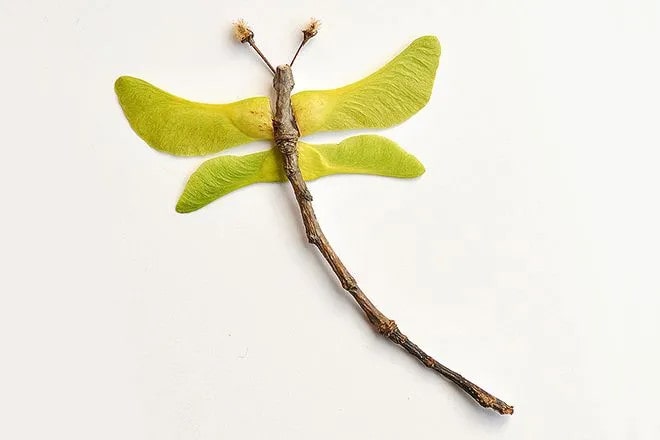 樹葉粘貼畫蝴蝶