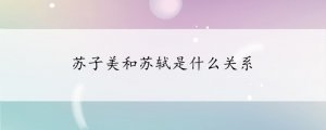 蘇子美和蘇軾是什么關(guān)系
