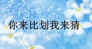你來比劃我來猜作文600字