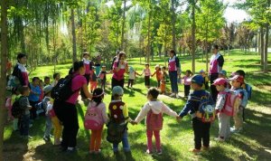 幼兒園秋游活動策劃方案