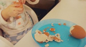 幼兒園大班科學(xué)教案《雞蛋殼的游戲》