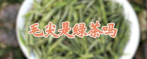 毛尖是綠茶嗎