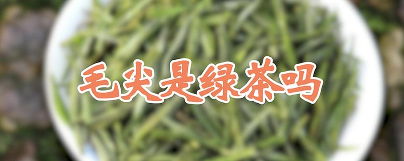 毛尖是綠茶嗎