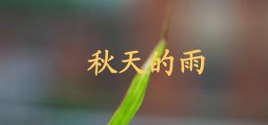 《秋天的雨》教案教學(xué)設(shè)計(jì)