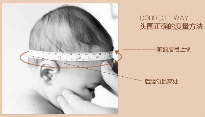 寶寶頭圍怎么測量