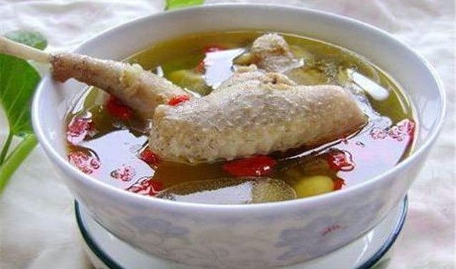 孕婦可以喝鴿子湯嗎