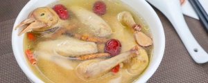 鴿子湯下奶嗎