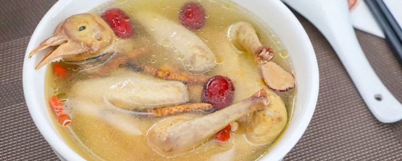 鴿子湯下奶嗎