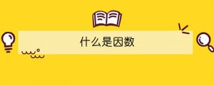 什么是因數(shù)