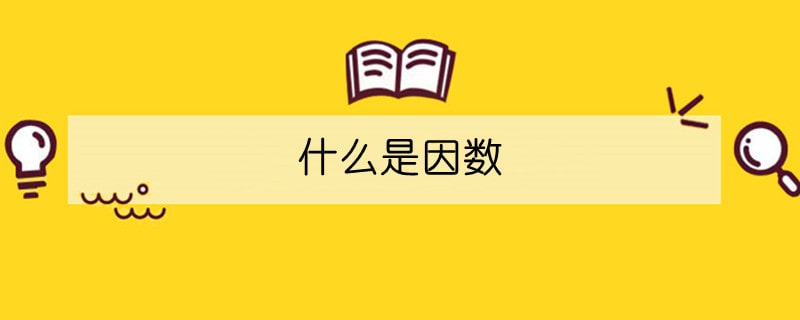 什么是因數(shù)