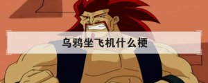 烏鴉坐飛機什么梗