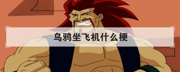 烏鴉坐飛機(jī)什么梗