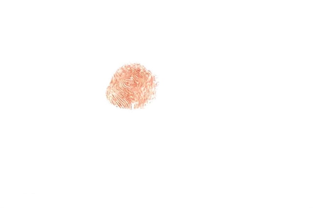 馬蜂手指畫 幼兒早教繪畫