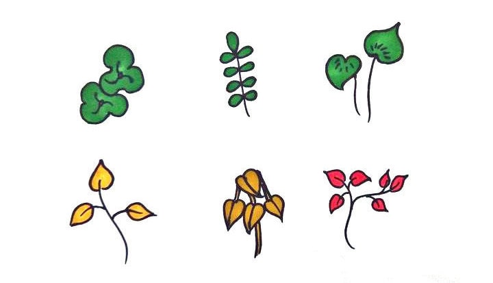 各種樹葉簡(jiǎn)筆畫圖片大全
