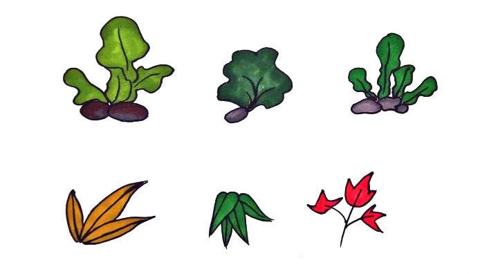 各種樹葉簡(jiǎn)筆畫圖片大全