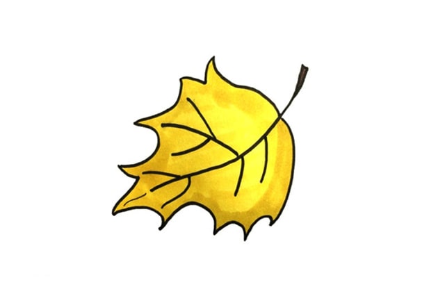 各種樹葉簡(jiǎn)筆畫圖片大全