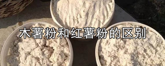 木薯粉和紅薯粉的區(qū)別