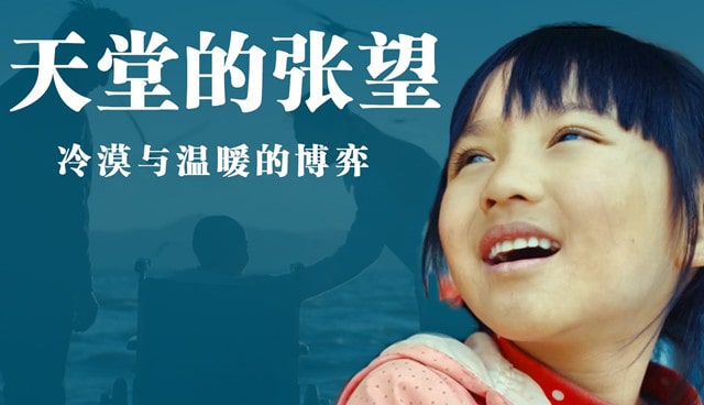 天堂的張望觀后感500字