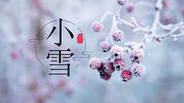 小雪節(jié)氣的古詩(shī)