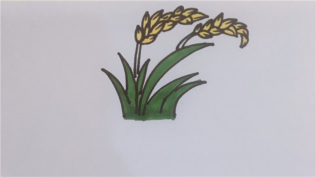 水稻簡(jiǎn)筆畫(huà)怎么畫(huà)簡(jiǎn)單圖片