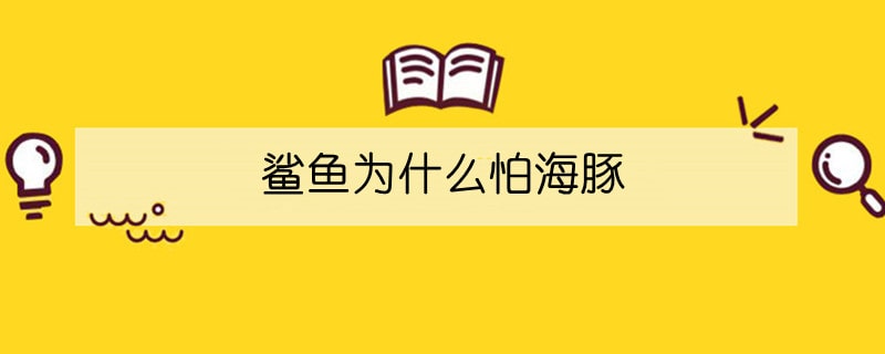 鯊魚為什么怕海豚