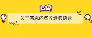 關(guān)于感恩的句子經(jīng)典語(yǔ)錄